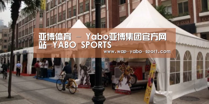案例标题九