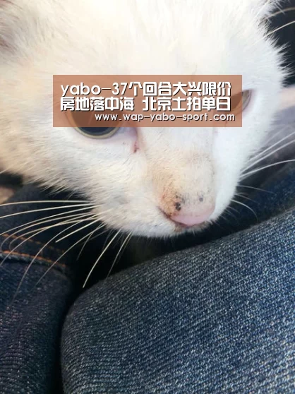 yabo-37个回合大兴限价房地落中海 北京土拍单日揽金113.75亿!(图2) 亚博体育